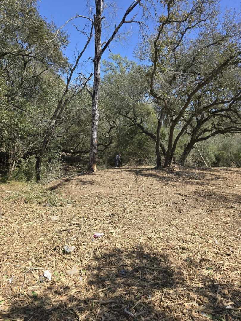 Rock Island, Texas 77470, United States, ,Land,Active,215240