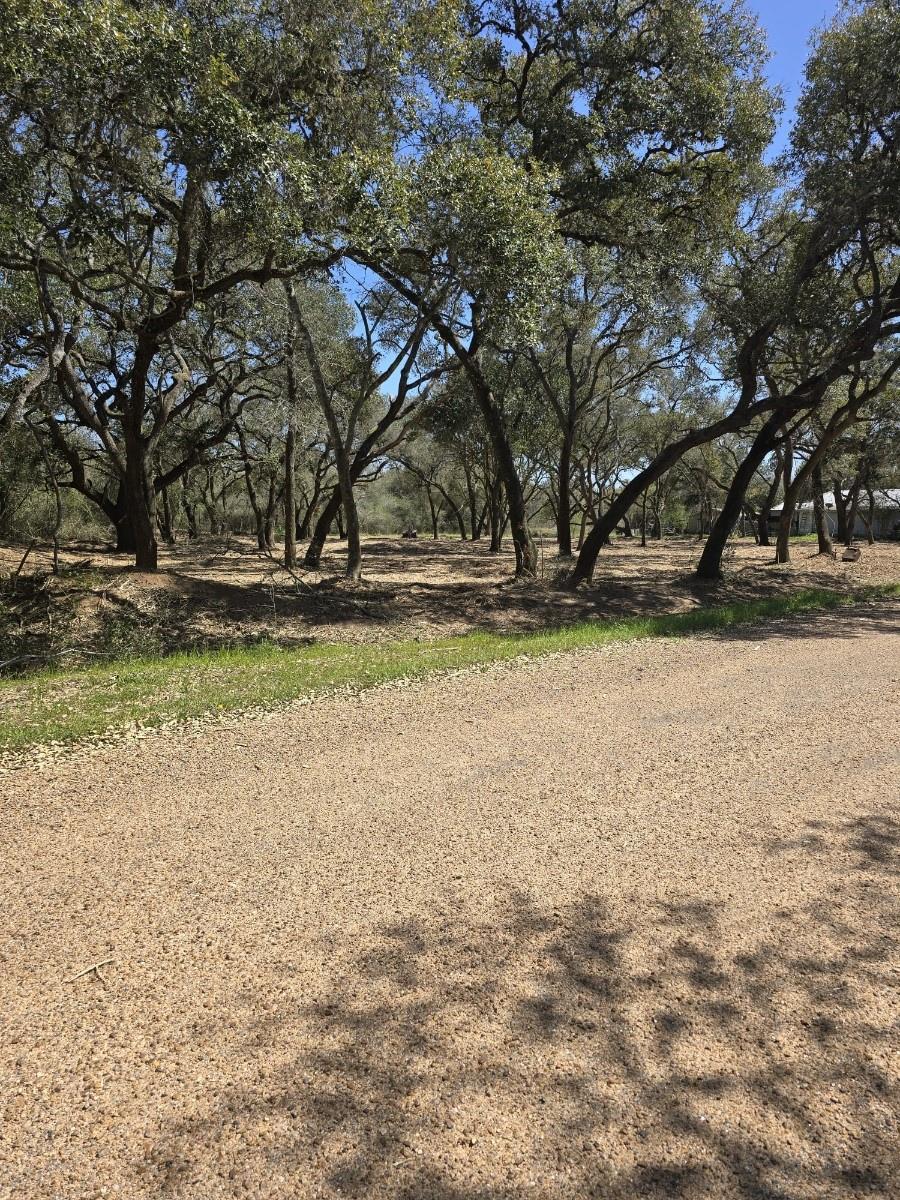 Rock Island, Texas 77470, United States, ,Land,Active,215240