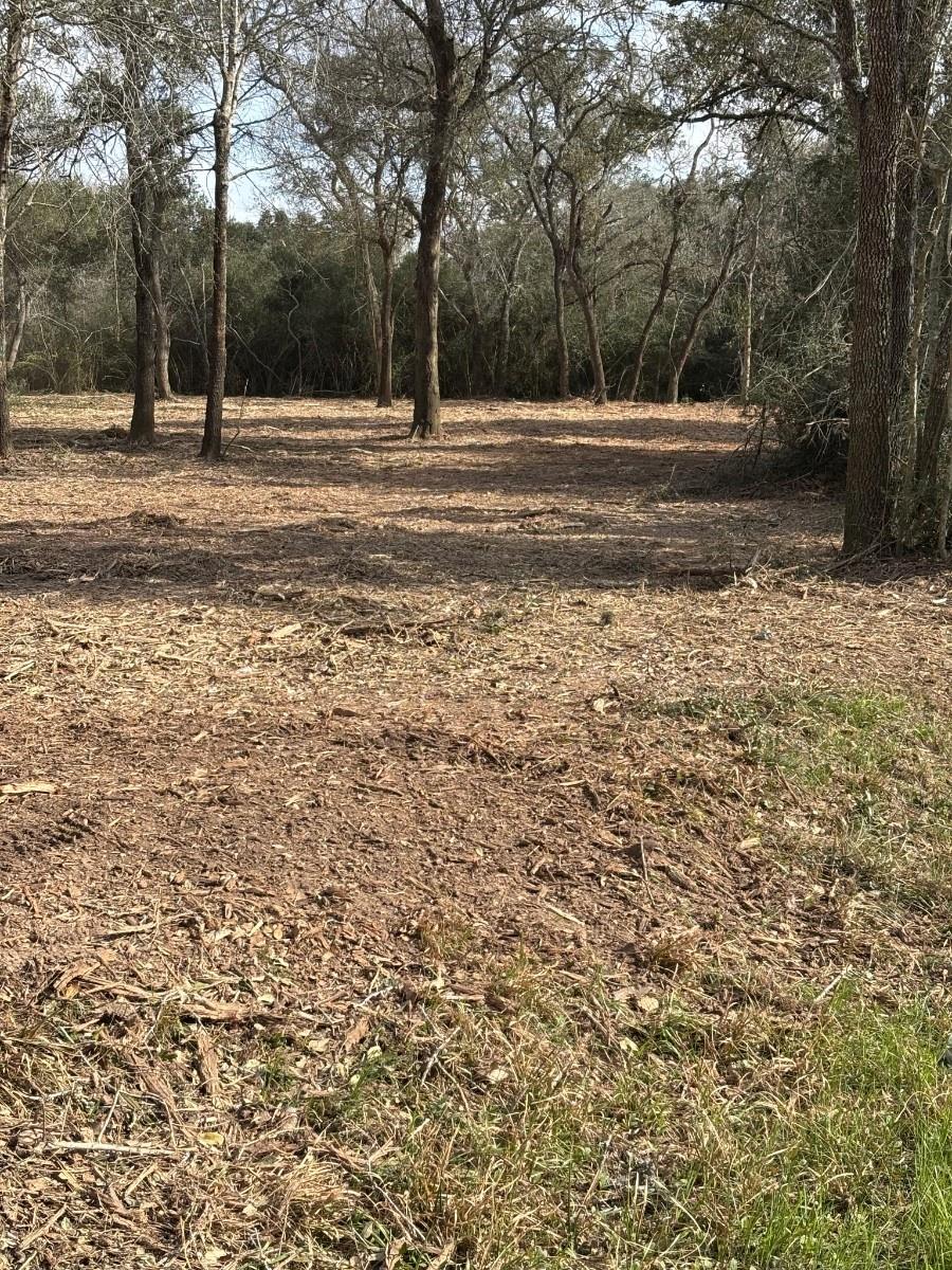 Rock Island, Texas 77470, United States, ,Land,Active,215240