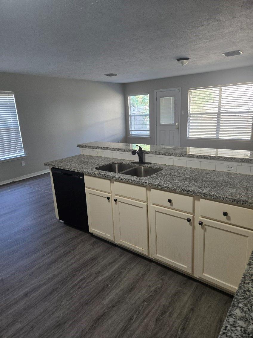 5331 Cilantro Lane
