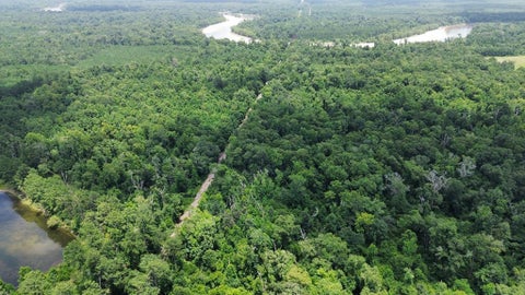 Photo of 369 Cr 4240, Bon Wier, TX 75928 (MLS # 11841842)