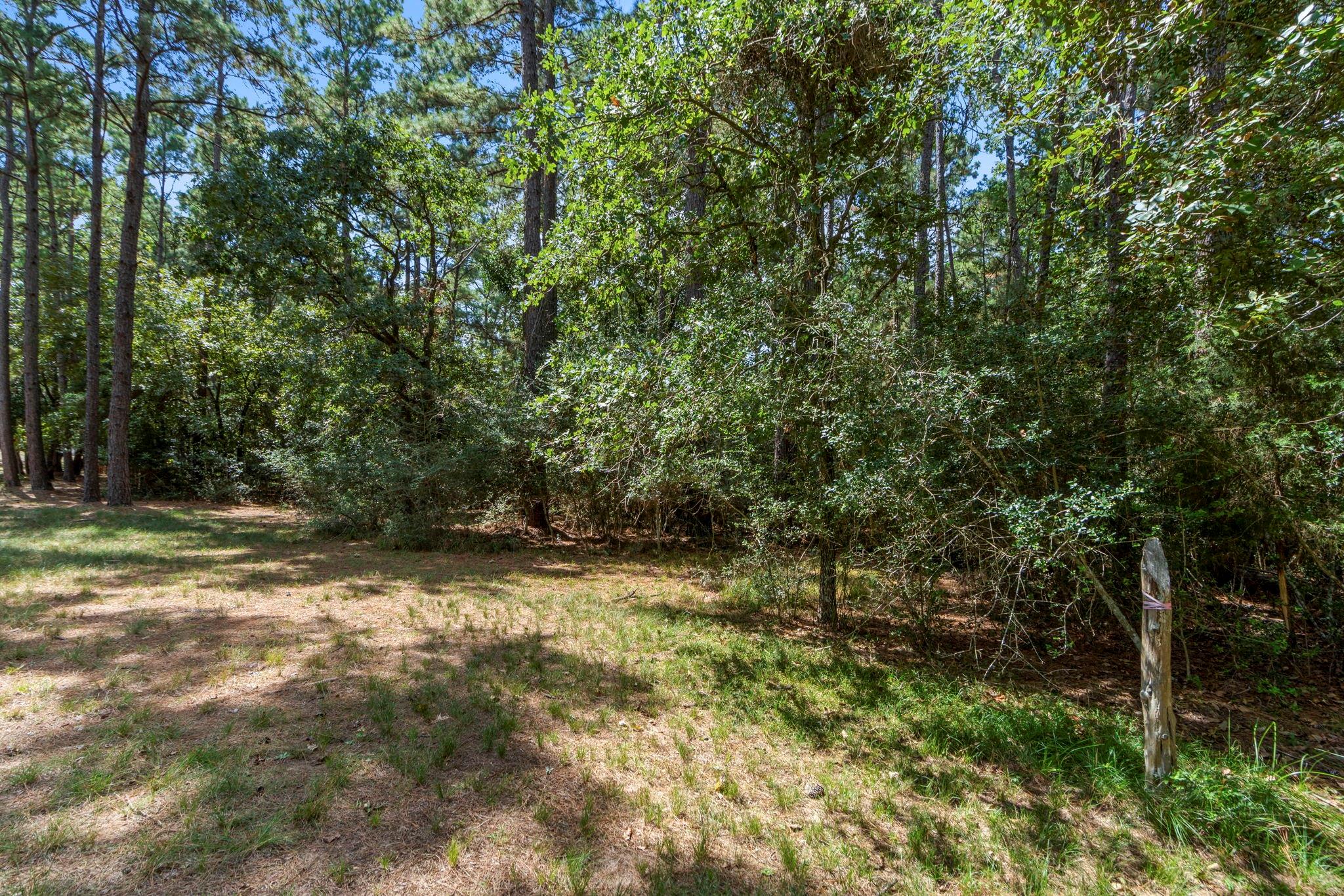 37432 Clubhouse Lane