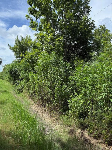 Photo of 0 Pine, Brazoria, TX 77422 (MLS # 18326577)