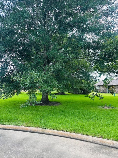 Photo of 0 Carey Drive, Angleton, TX 77515 (MLS # 45097006)