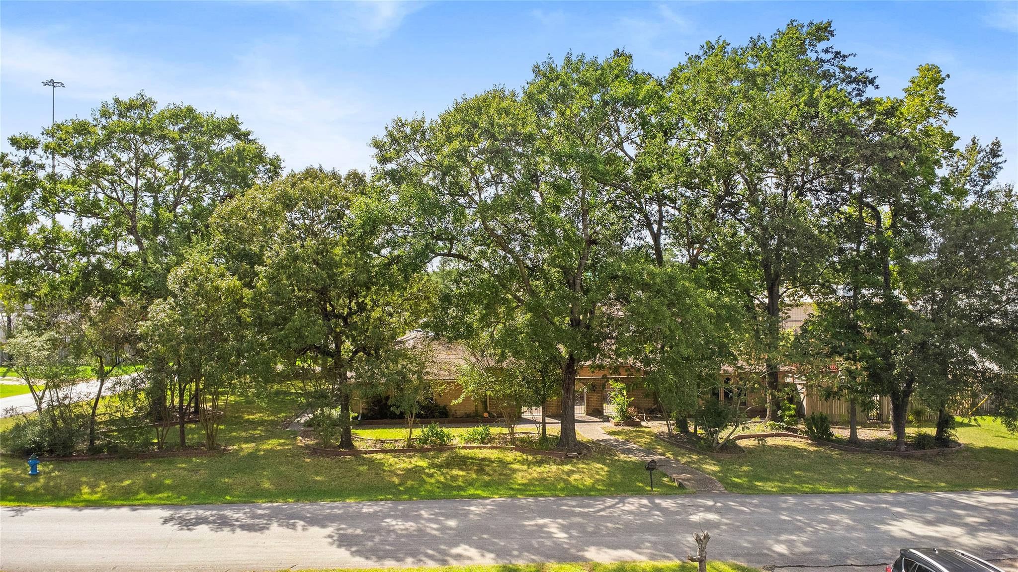 186 Spring Pines Drive