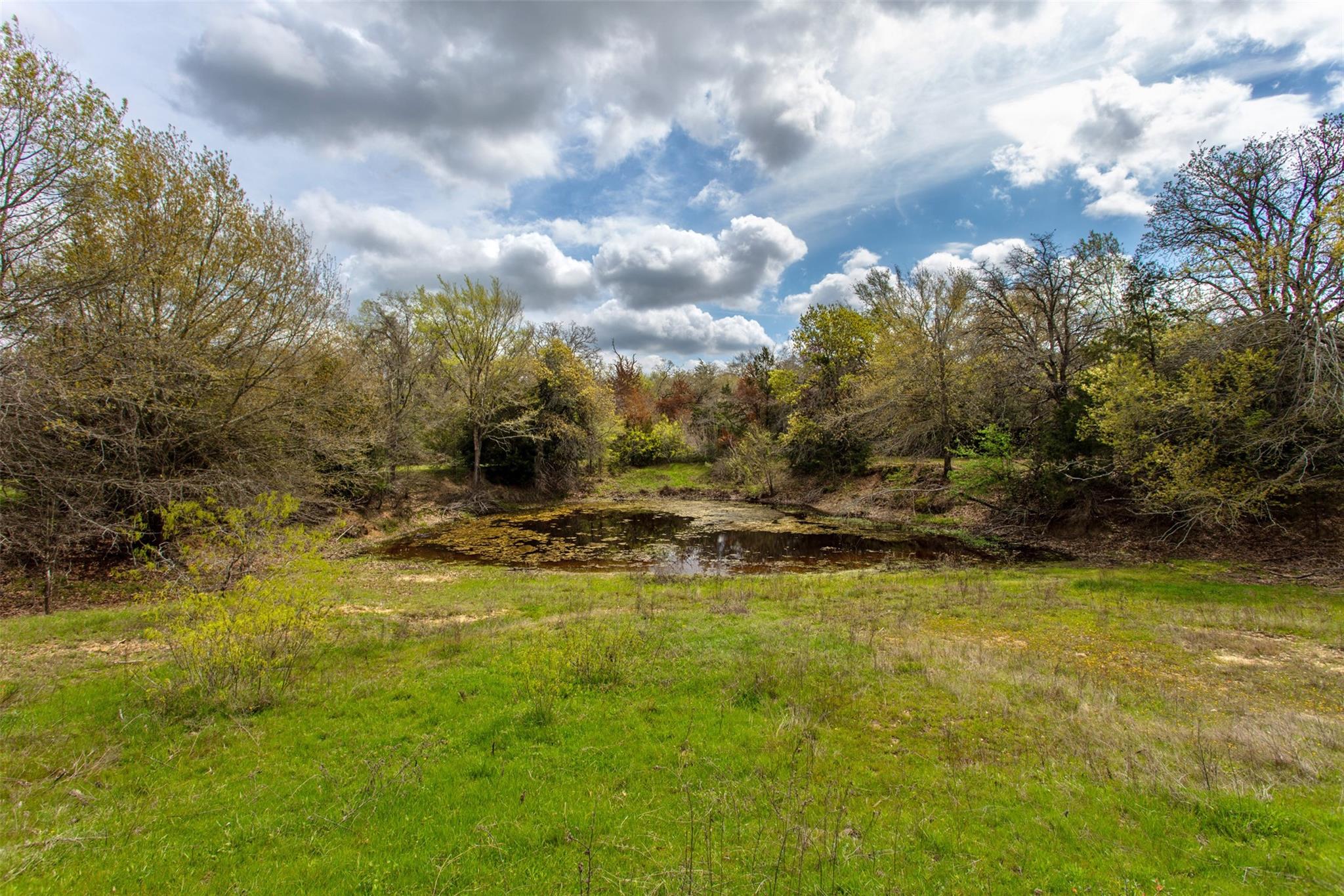 3882 Webb Cemetary Road