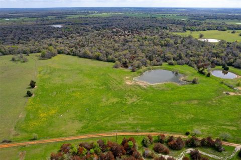 Photo of 3882 Webb Cemetary Road, Calvert, TX 77837 (MLS # 40000872)