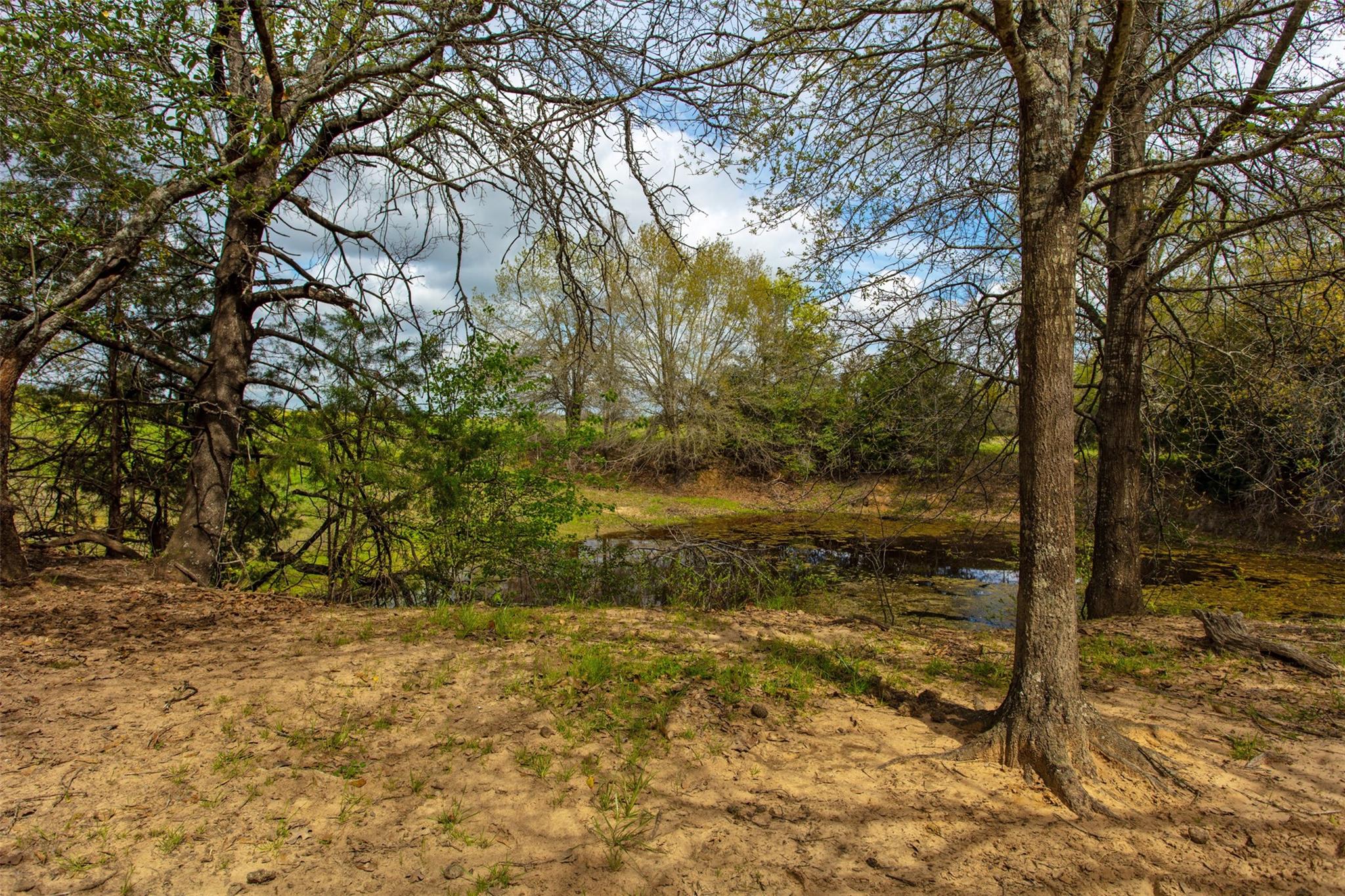 3882 Webb Cemetary Road