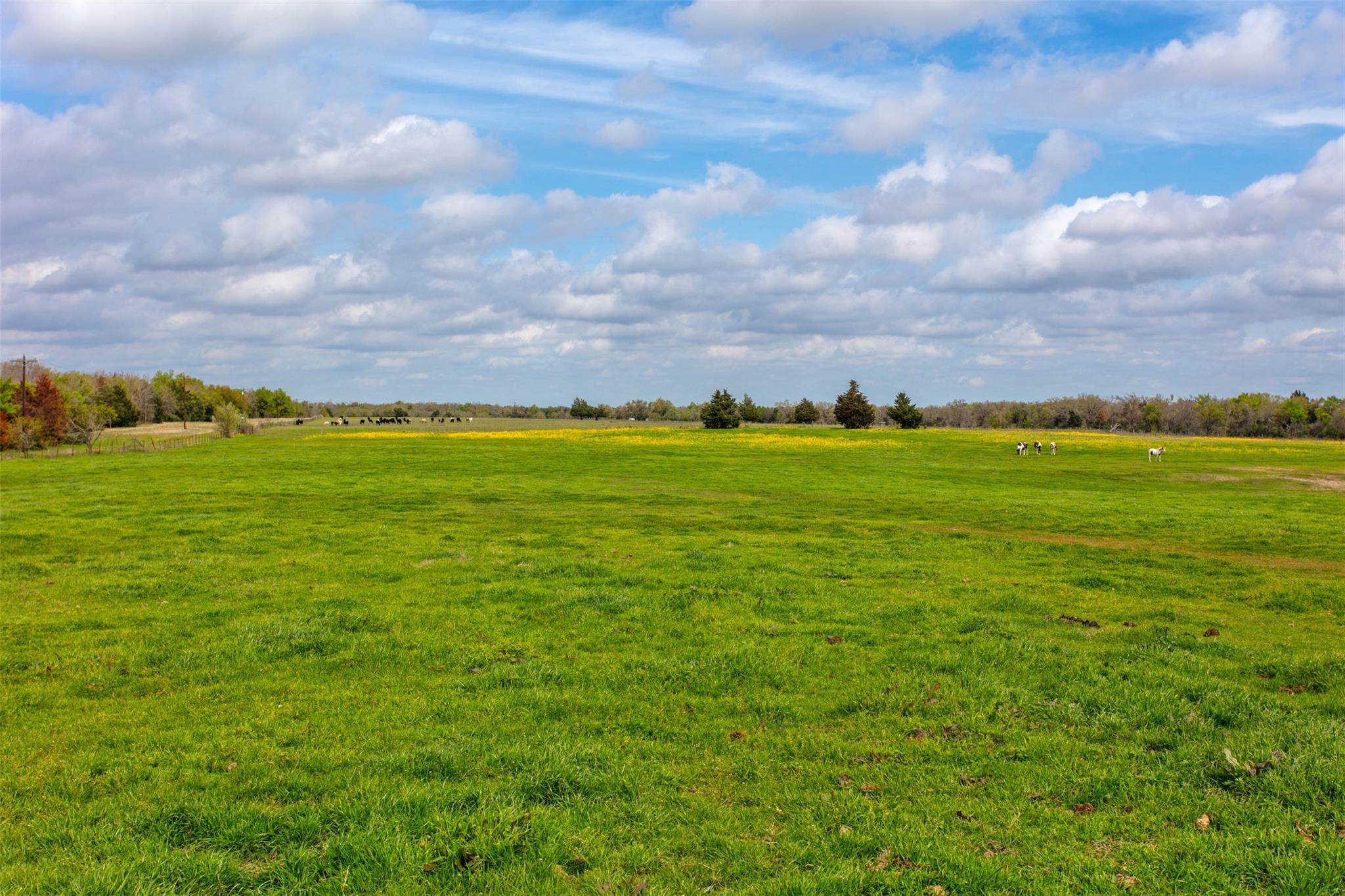 3882 Webb Cemetary Road