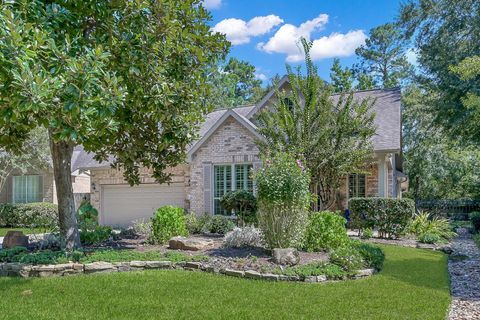 35 E Bellmeade Place The Woodlands TX 77382