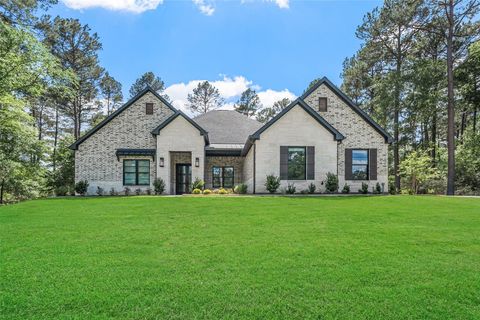 Photo of 8680 Cedar Meadow Lane, Plantersville, TX 77363 (MLS # 60145526)
