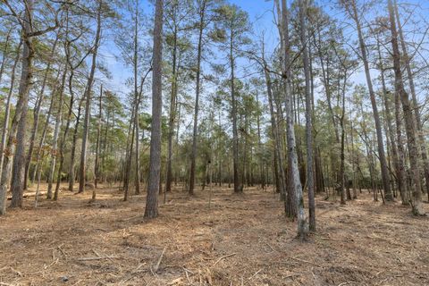 Vacant Land For Sale - 15880 Four Hills Road<br/> Willis, TX 77378