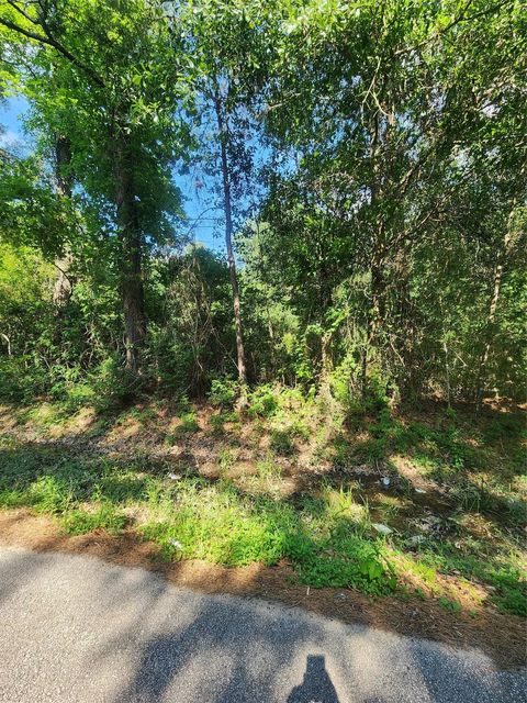 Photo of 202 Michael Street, Cleveland, TX 77328 (MLS # 38389536)
