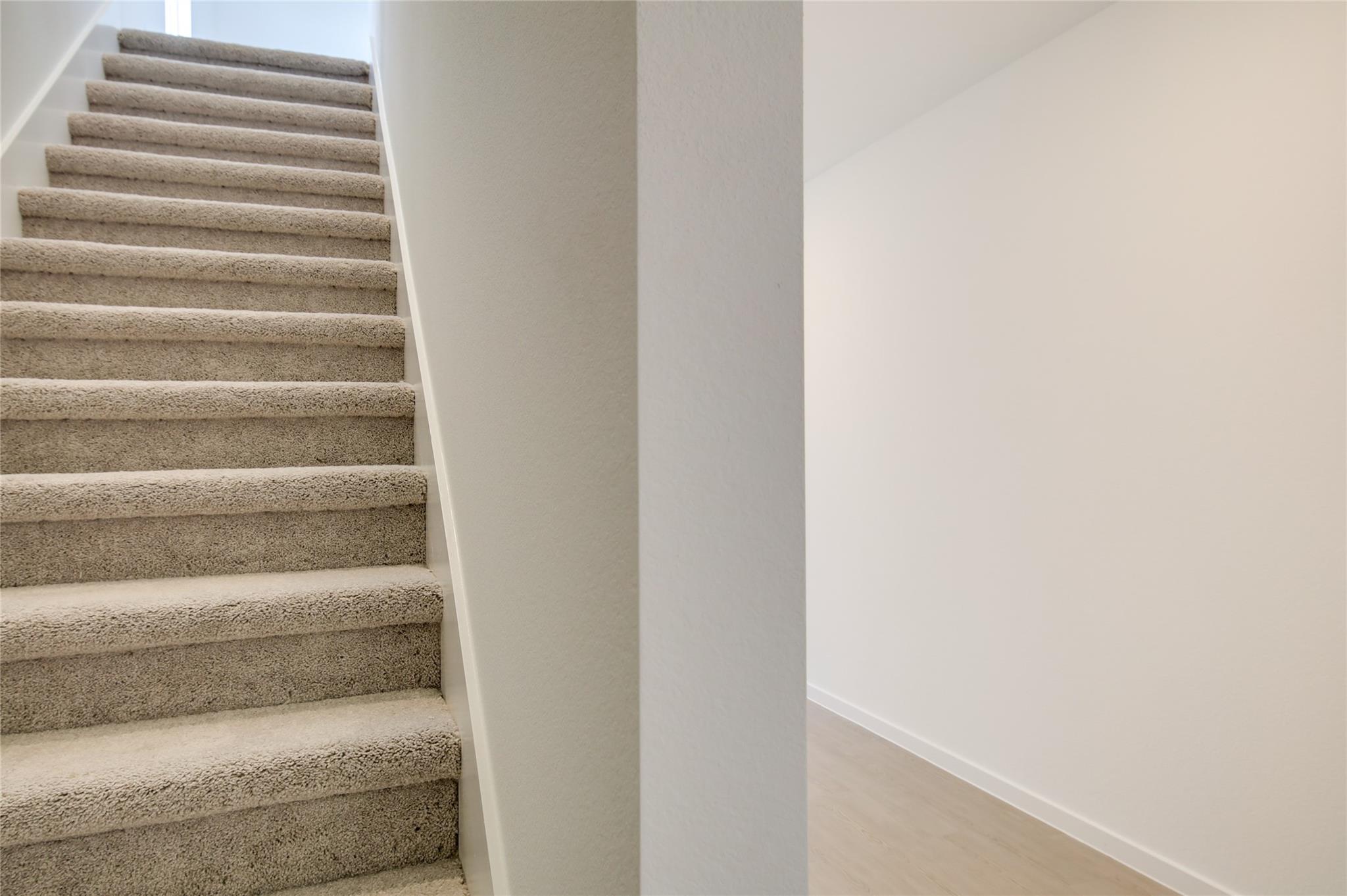 10915 Tawny Ridge