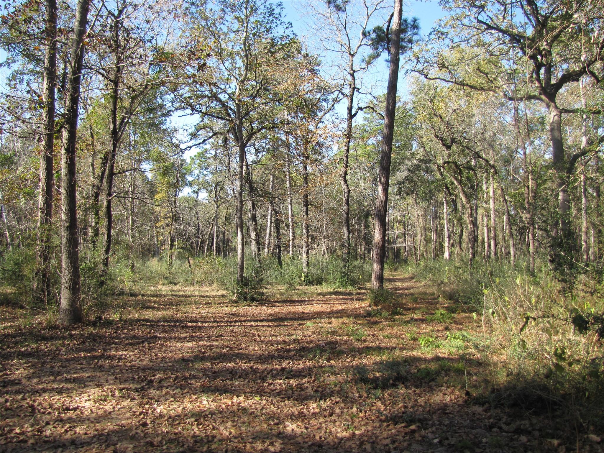 32602 Dogwood Trail