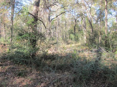 Photo of 32602 Dogwood Trail, Magnolia, TX 77355 (MLS # 78805744)