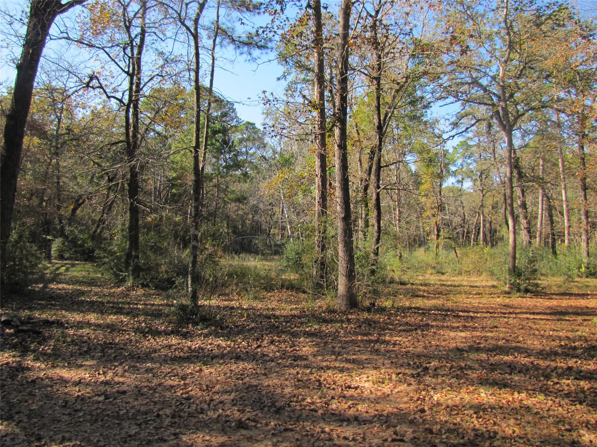 32602 Dogwood Trail
