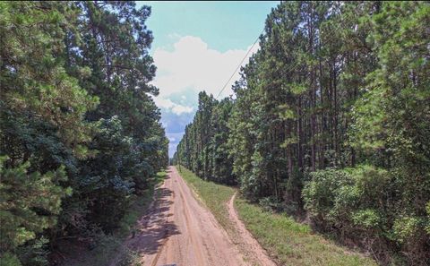 TBD Hickman Road Corrigan TX 75939