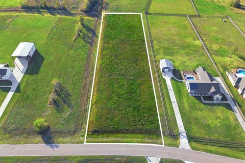 Photo of 22810 Chenango Lake Drive, Angleton, TX 77515 (MLS # 34499432)