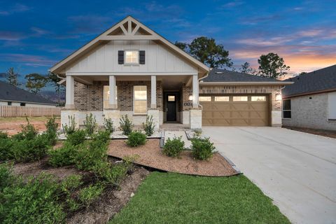 Photo of 41422 Threadgill Way, Montgomery, TX 77356 (MLS # 4660276)