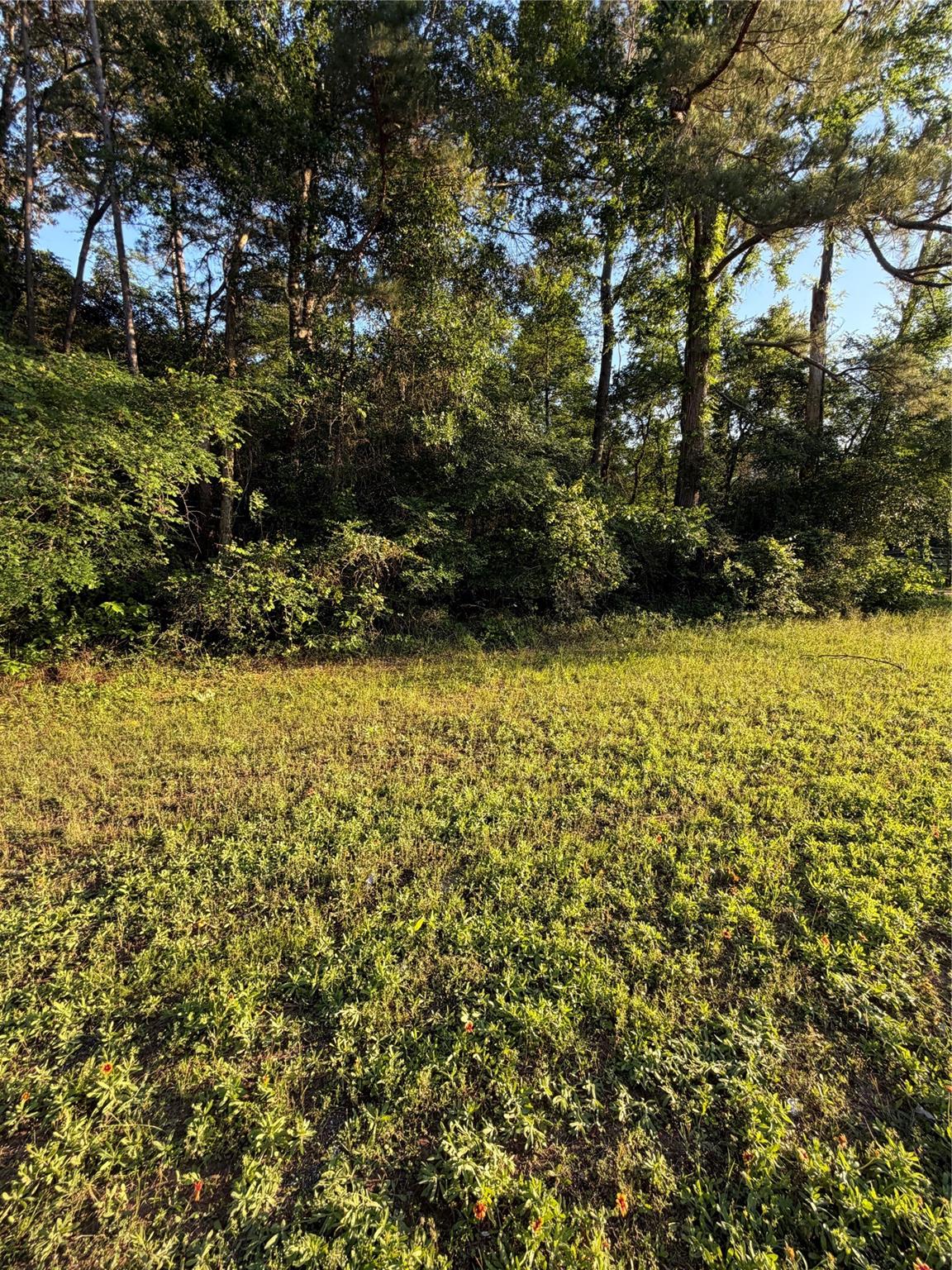 0 Reids Prairie Road
