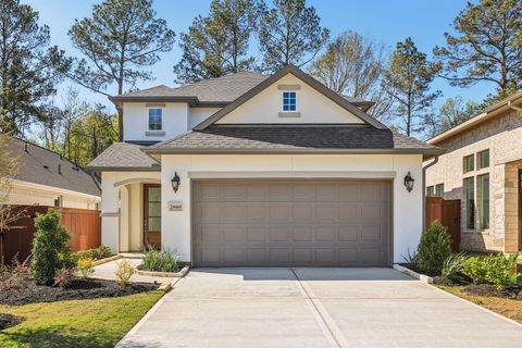 Photo of 29969 Stony Forest Drive, Magnolia, TX 77354 (MLS # 77263223)