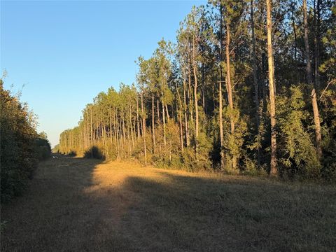 Vacant Land For Sale - LOT 39 Carter Ranch Road<br/> Kountze, TX 77625