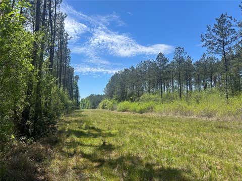 Vacant Land For Sale - LOT 39 Carter Ranch Road<br/> Kountze, TX 77625