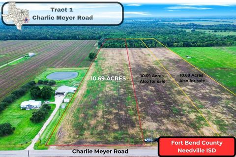 Photo of 1 Charlie Meyer Road, Damon, TX 77430 (MLS # 42553683)