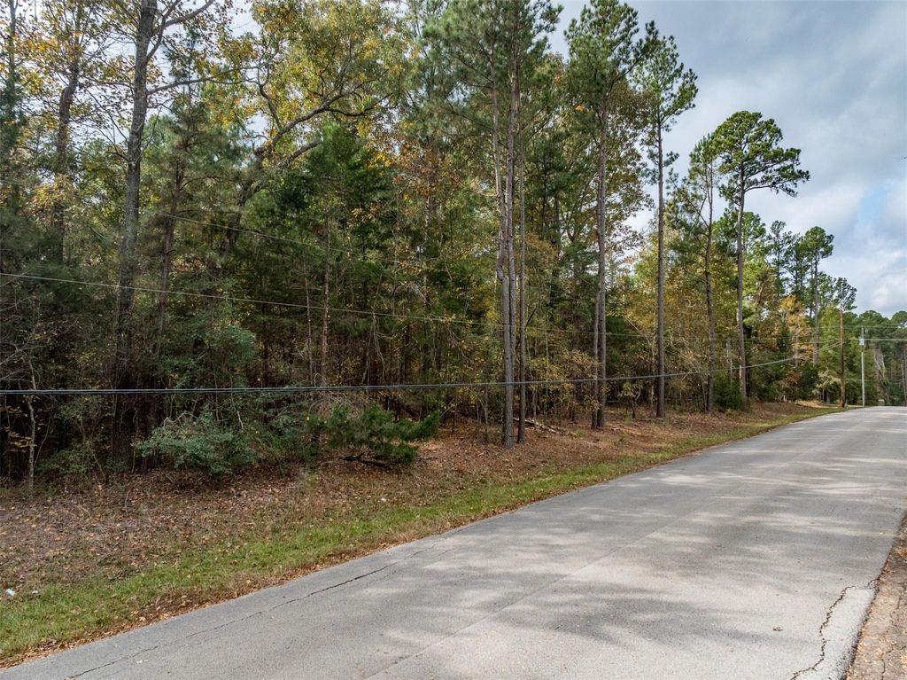 Photo of 11 Pintail Drive, Flint, TX 75762 (MLS # 29138392)