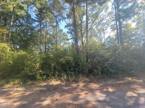30 Jeffery Drive Huntsville TX 77320
