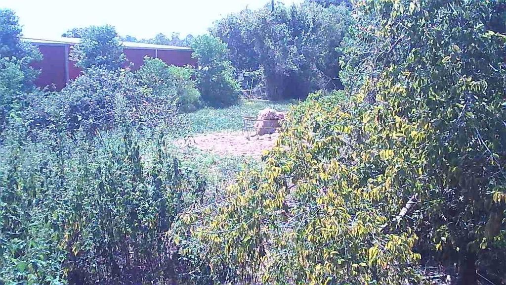 Photo of 0 12th Street, Brookshire, TX 77423 (MLS # 79953434)