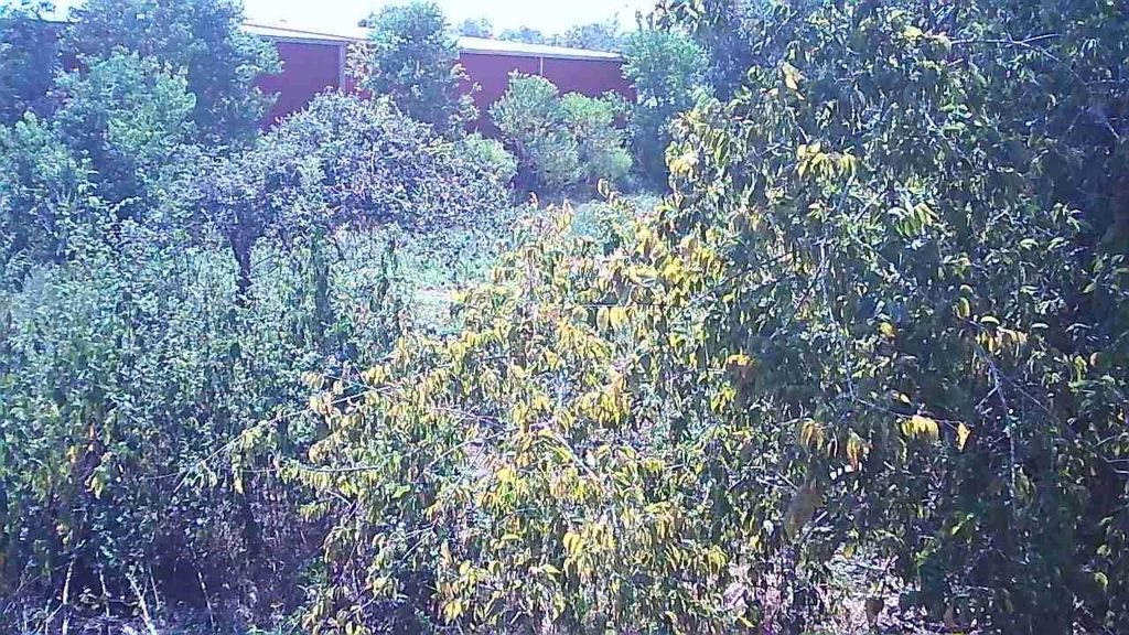 Photo of 0 12th Street, Brookshire, TX 77423 (MLS # 79953434)