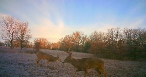 TBD County Road 707 Kosse TX 76653