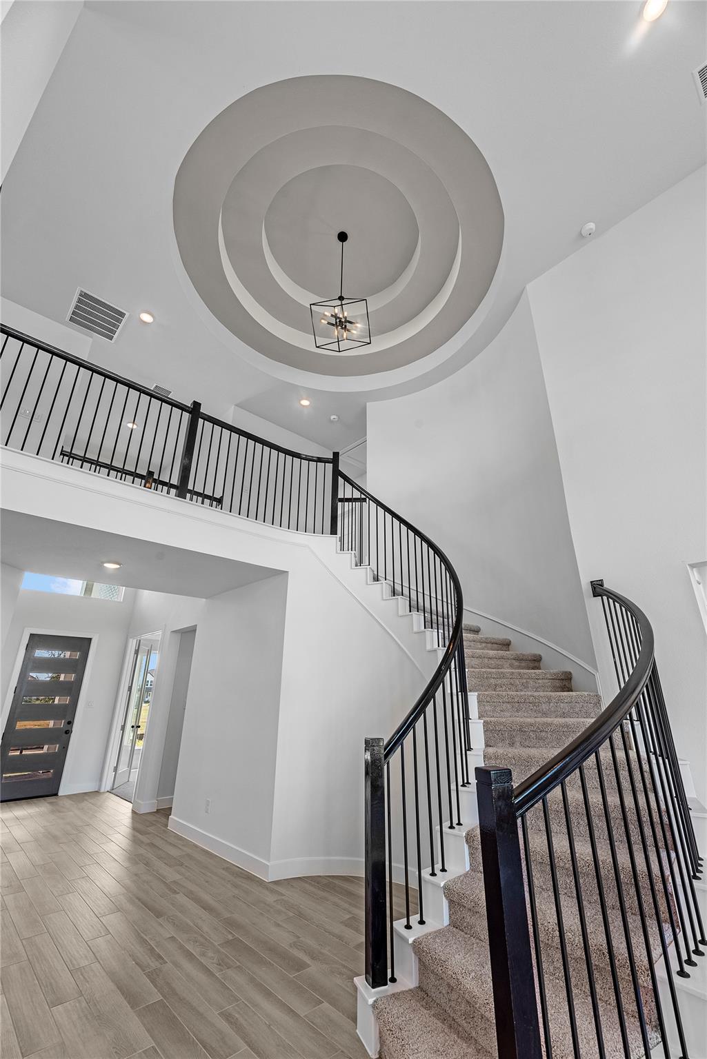 16231 Blue Mistflower Lane