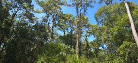 Photo of 131 Cove Lane DR, Point Blank, TX 77364 (MLS # 11053929)