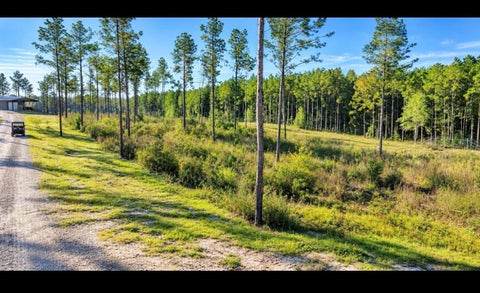 Photo of 2 Black Buck Drive Drive, Moscow, TX 75960 (MLS # 95605078)