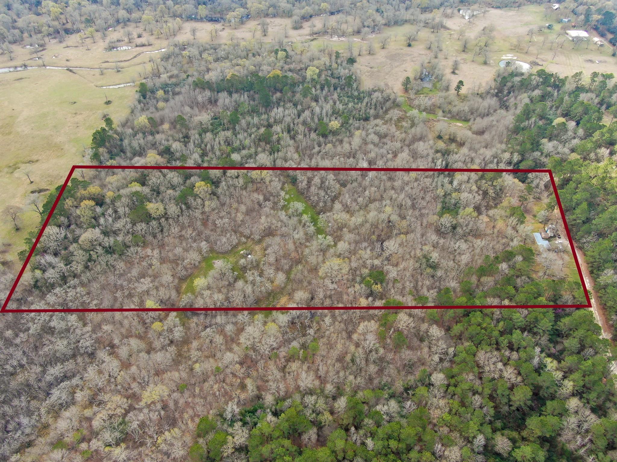 10081 Rocky Ridge Lane