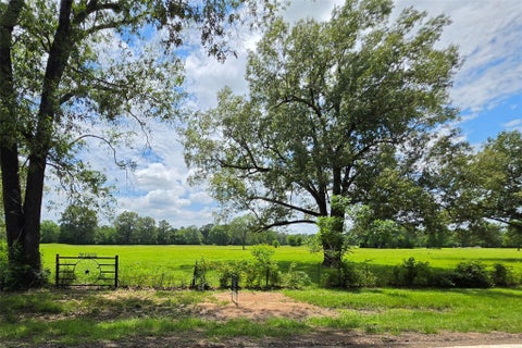 Photo of 0 Fm 1280, Lovelady, TX 75851 (MLS # 83679829)