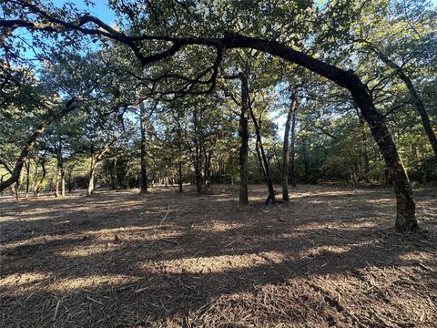 TR 2 Cr 219 Buffalo TX 75831