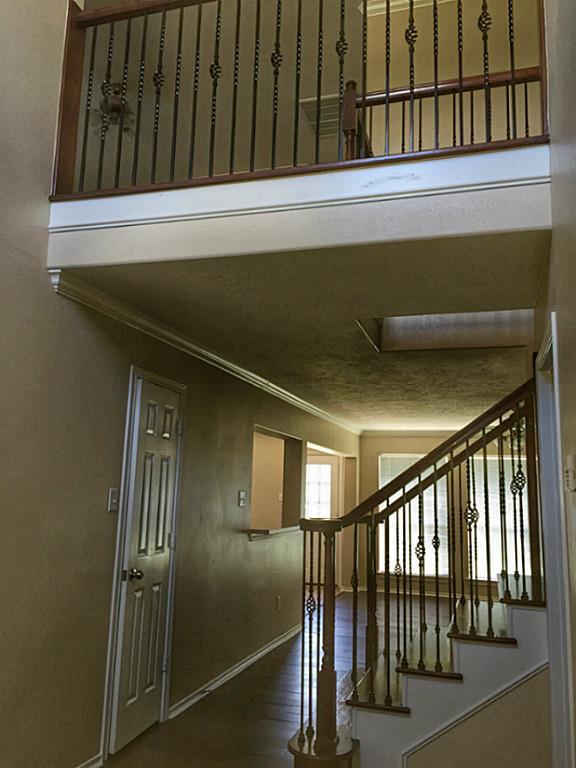 8722 Indian Maple Drive