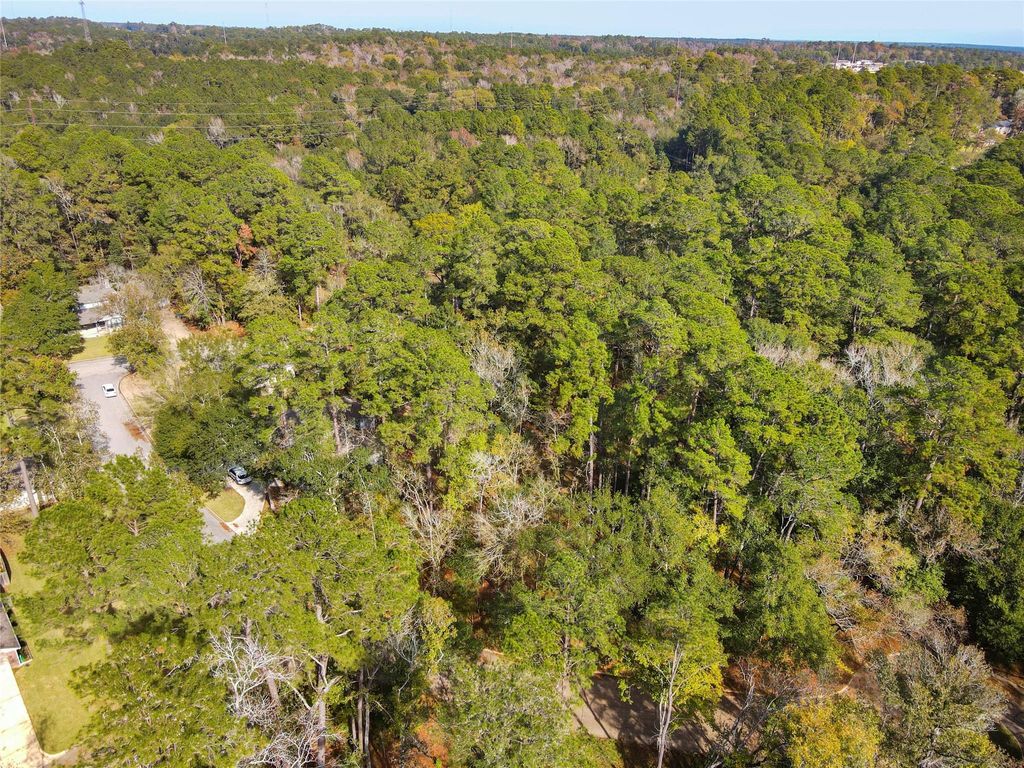 Photo of 306 Inverness Drive, Huntsville, TX 77340 (MLS # 1026807)