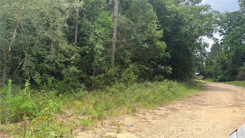 Photo of 1 Millcreek Drive, Ivanhoe, TX 75979 (MLS # 69616144)