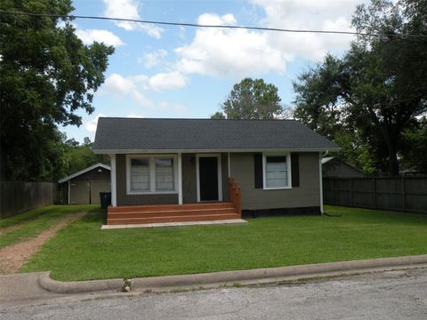 Photo of 319 N Hunt Street N, Bellville, TX 77418 (MLS # 4506942)