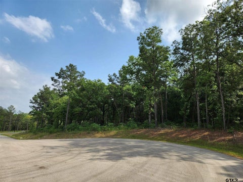 Vacant Land For Sale - 3281 Shadow Pine Dr Lot Dr<br/> Larue, TX 75770