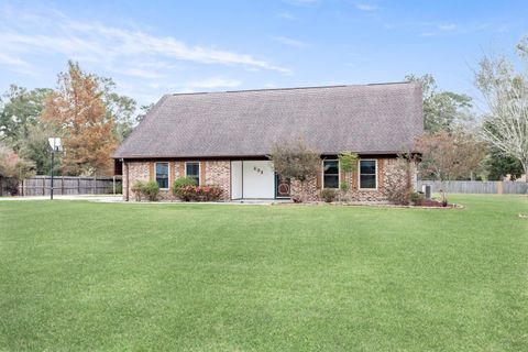 Tiny photo for 203 Magnolia Trail, Silsbee, TX 77656 (MLS # 13608326)