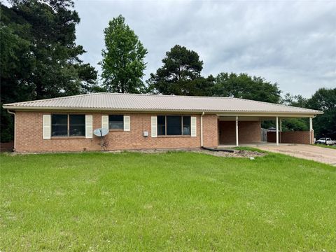Photo of 423 Edens Street, Grapeland, TX 75844 (MLS # 61851963)