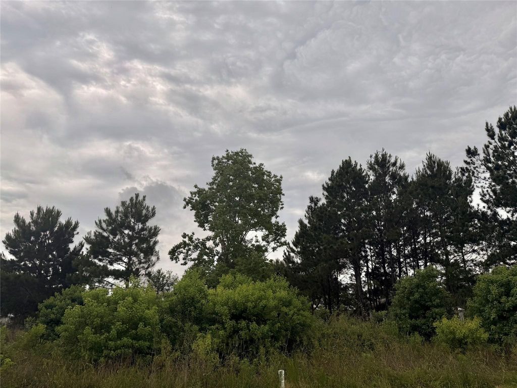 Photo of 318 County Road 3401, Cleveland, TX 77327 (MLS # 14206991)