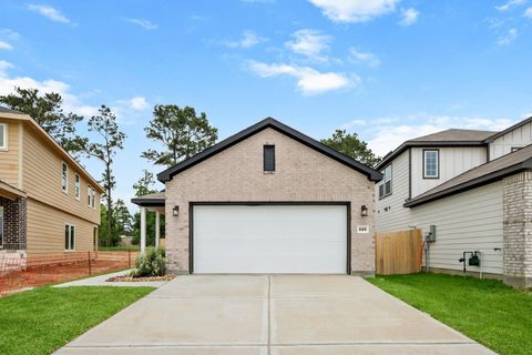 Photo of 225 Elm Spring Drive, Hockley, TX 77447 (MLS # 45423752)