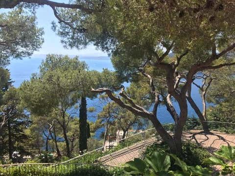 Tiny photo for 6230 Saint Jean Cap Ferrat, CT 06230 (MLS # 76995163)